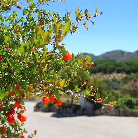 Cortijo La Presa *