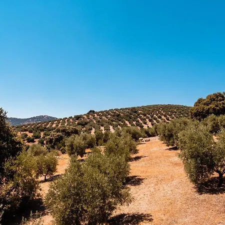 Cortijo La Presa Casa rural *