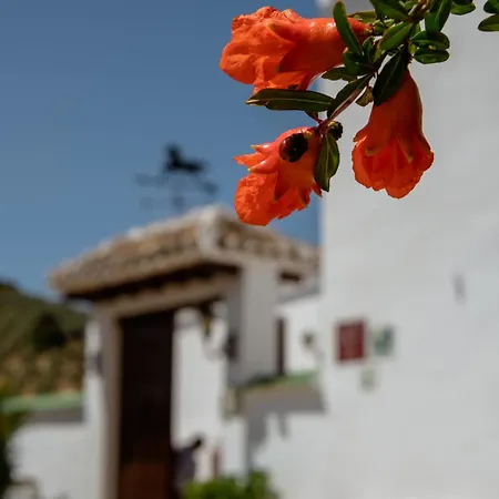 Cortijo La Presa Priego de Córdoba